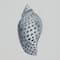 11" x 14" Blue Spotted Shell Art Wall Décor by Ashland®